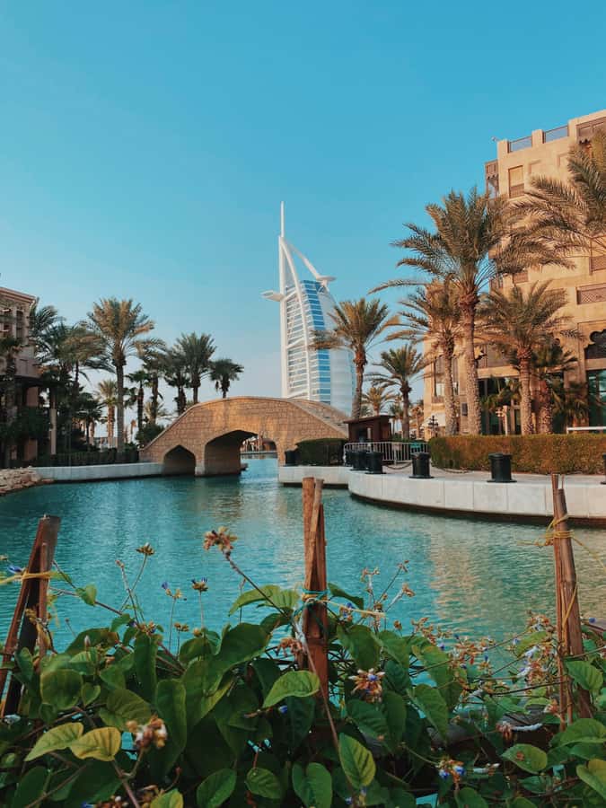 Dubai:Private Frame Entry, Mosque, Souks, Tastings& transfer - Timing, comfort, and small practical tips