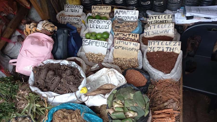 Durban: Local Markets and Culture Guided Walking Tour - The viewpoint gives you your bearings