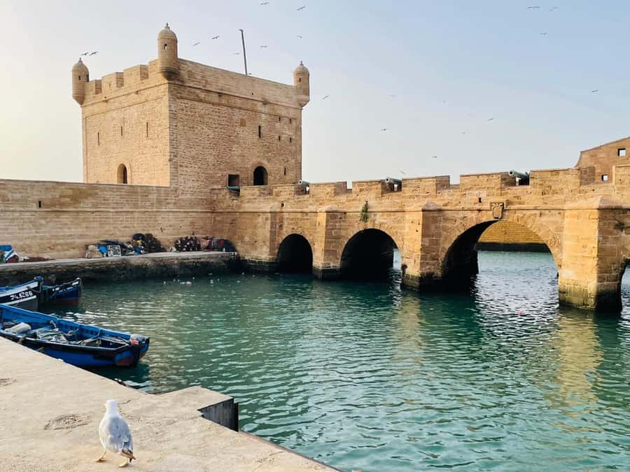 Essaouira: Sqala du Port, Citadel, Fish Market & Medina Tour - Moulay Hassan Square and the route back to Bab Sbaa