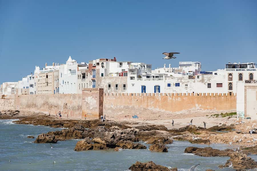 Essaouira: Sqala du Port, Medina Ramparts & Fish Market Tour - The Medina: white walls, blue shutters, and working lanes