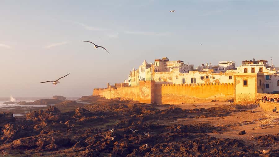 Essaouira: Sqala du Port, Medina Ramparts & Fish Market Tour - Bab Doukkala and the market side of town