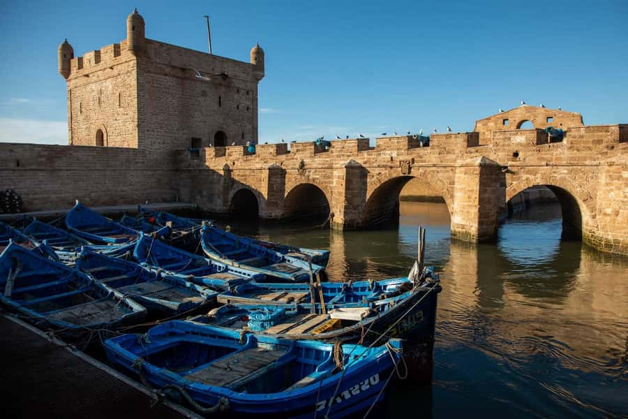 Essaouira: Sqala du Port, Medina Ramparts & Fish Market Tour - Pace, language, and guide style