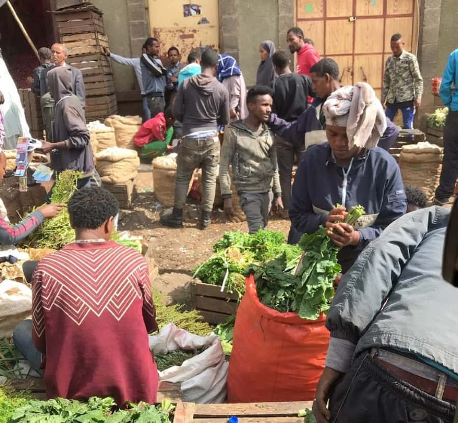 Ethiopian Culinary Tour - Market, Coffee Ceremony and More - What the guide and vehicle add