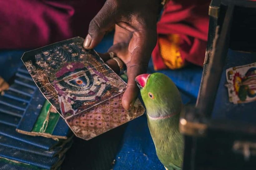 Experience Bangalore - Evening City Walk Tour & Market Visit - A glimpse of Bangalore Fort