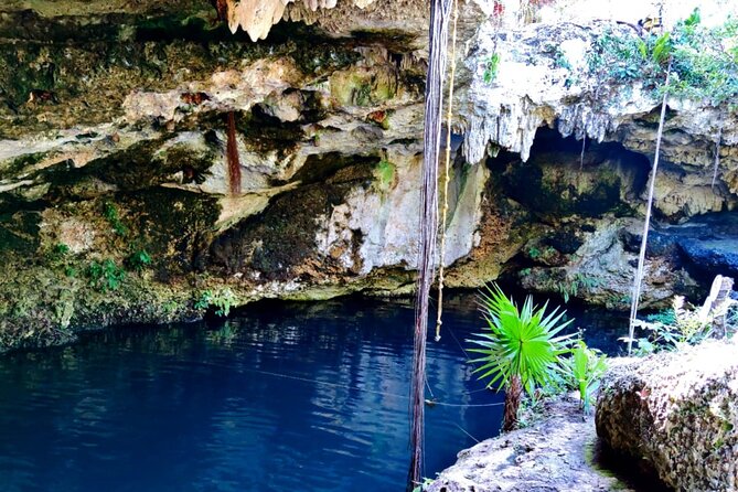 Experience Cancun's Hidden Gems, Mayan museum, cenote & Market 23 - Who should book this experience