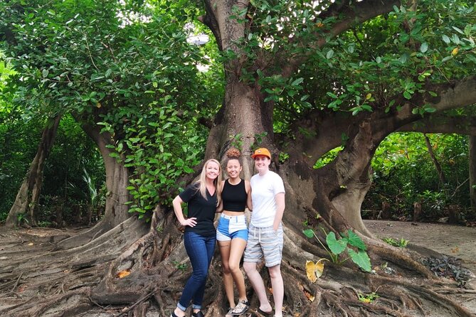 Experience Cancun's Hidden Gems, Mayan museum, cenote & Market 23 - Should you book the Cancun hidden-gems route?