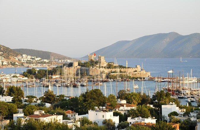 Farmers Market visit & Turkish Cooking Class - Starting with olives, herbs, and market gossip