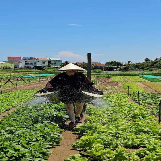 Farming - Local Market - Cooking Class In Tra Que Vegetable - Herbal foot bath and massage