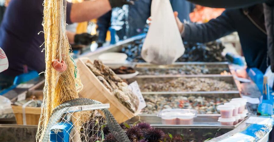 Fasano: Market, Cooking Demo & Meal at a Local's Home - Timing, meeting details, and transport