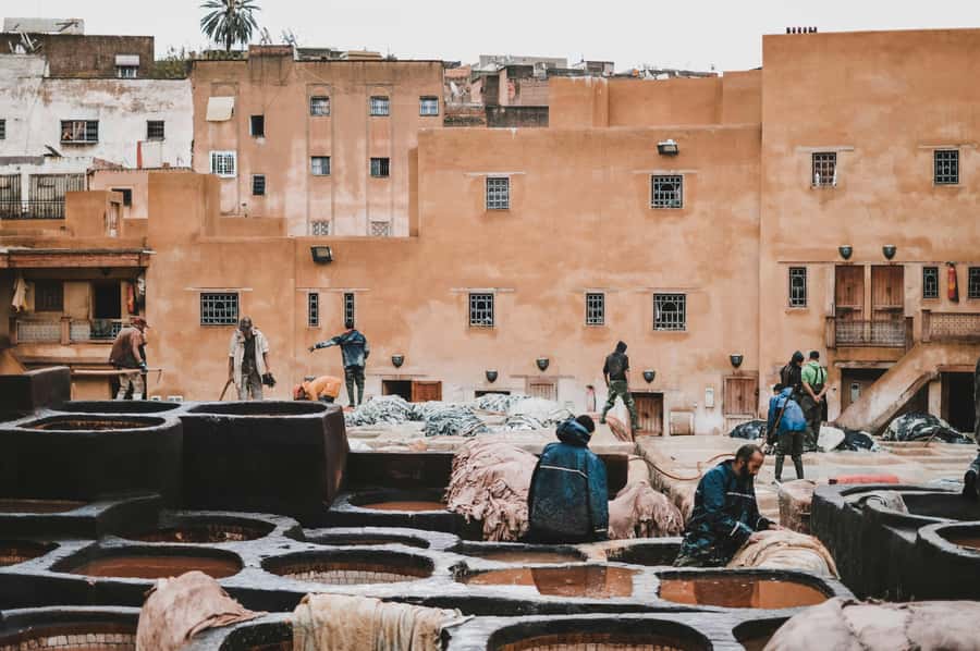 Fes: Royal Palace, Madrasa, Tannery & Souks and Medina Tour - Walking the Old Medina without losing your bearings
