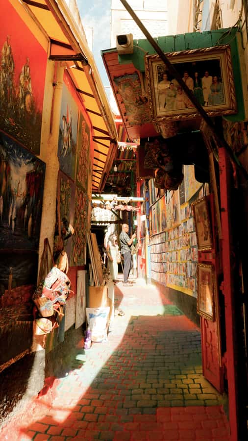 Fes: Royal Palace, Madrasa, Tannery & Souks and Medina Tour - Is $15 good value?