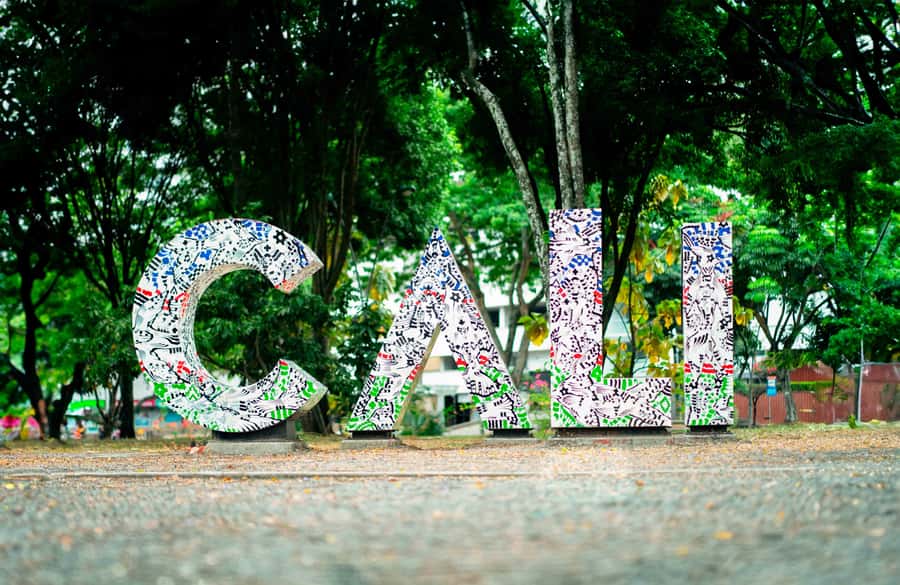 Flavors of Cali: Food tour at the local market - The brujita ride adds local flavor