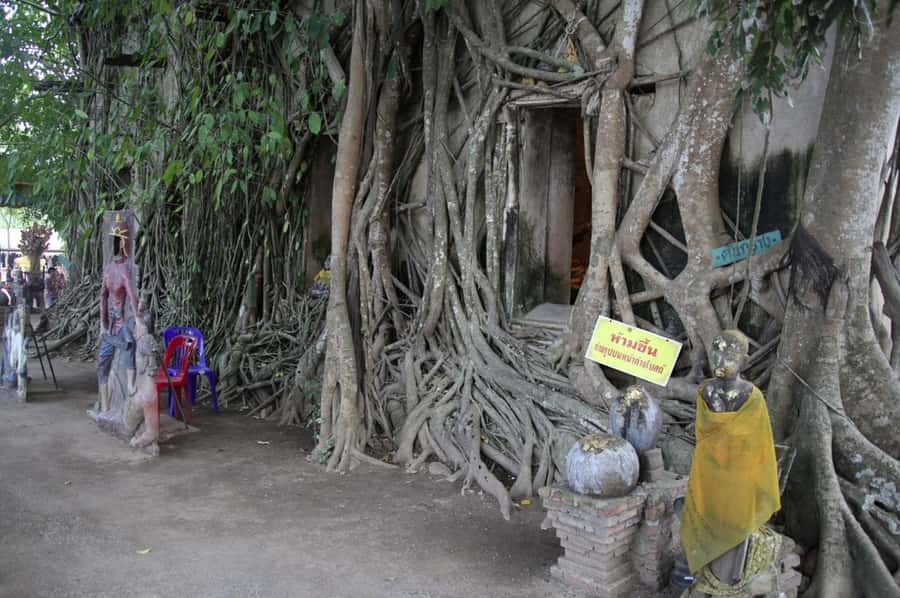 Floating Market Full-Day Bicycle Tour from Bangkok - Cycling the Mae Klong River delta