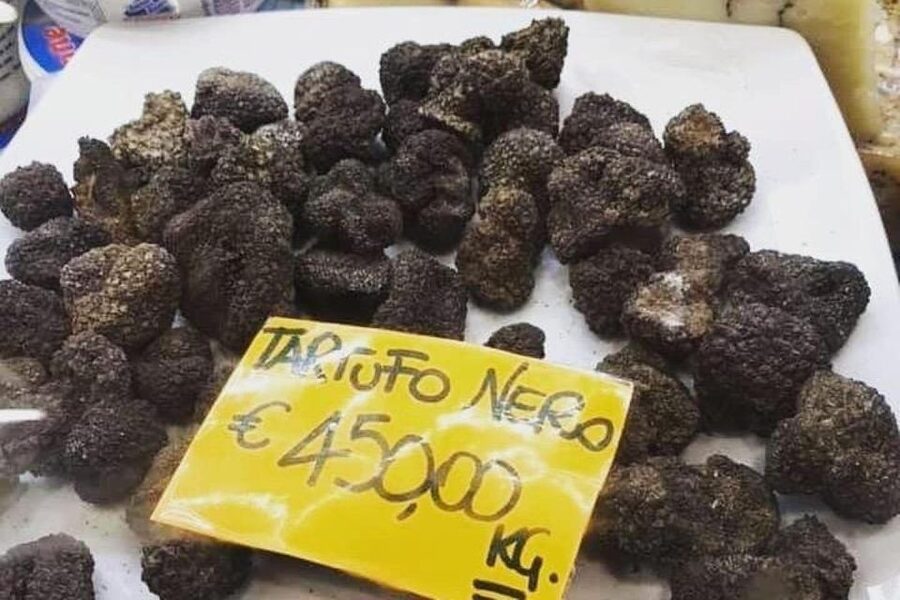 Florence Central Market Food Tour - Private Tour - Who will get the most from this market tour?
