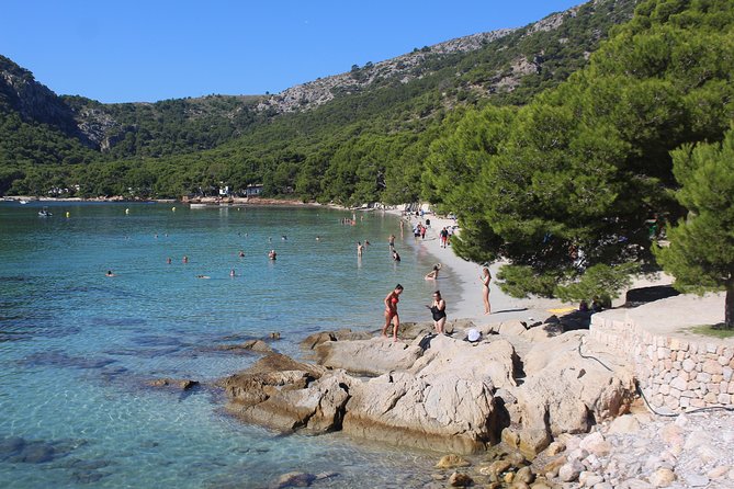 Formentor with boat trip + local market - Key points before you book