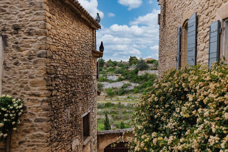 From Aix-en-Provence: Luberon Market & Villages Day Tour - What the minivan and guide add
