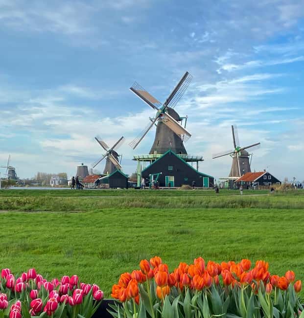 From Amsterdam; Alkmaar Cheese market & Zaanse Schans - The 30-minute guided walk: useful context, limited depth