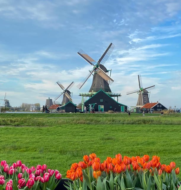 From Amsterdam; Alkmaar Cheese market & Zaanse Schans - Who will enjoy this North Holland outing