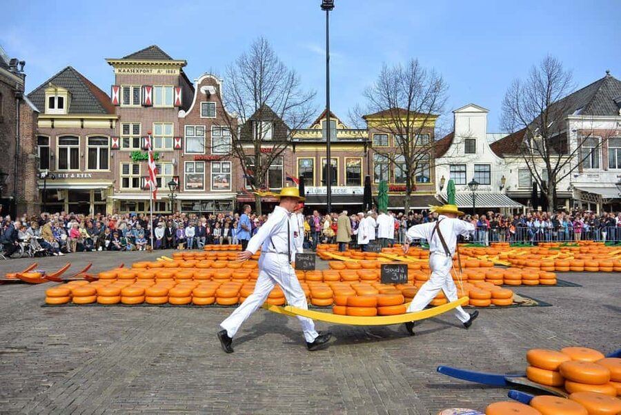 From Amsterdam; Alkmaar Cheese market & Zaanse Schans - Two hours in Alkmaar, with a short town walk