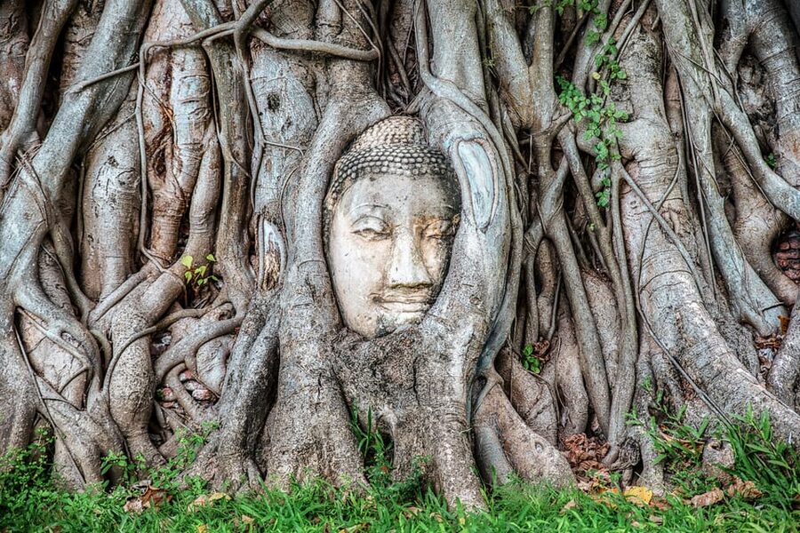 From Bangkok: Ayutthaya & Ayothaya Floating Market Day Trip - Wat Yai Chaimongkhon and its long rows of Buddha images