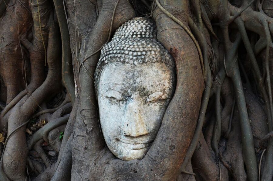 From Bangkok: Floating Market & Ayutthaya Private Day Trip - Exploring Damnoensaduak Floating Market