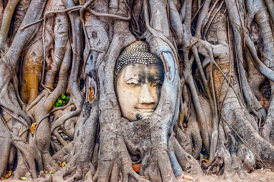 From Bangkok: Markets and Ayutthaya Tour - Is $128 a fair price?