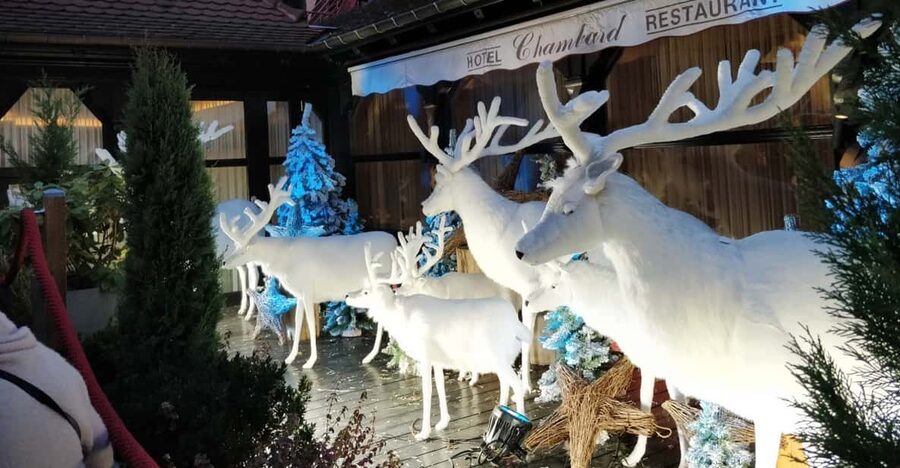 From Colmar: Christmas Markets Across 3 Borders - Freiburg: German Tradition in the Black Forest Region