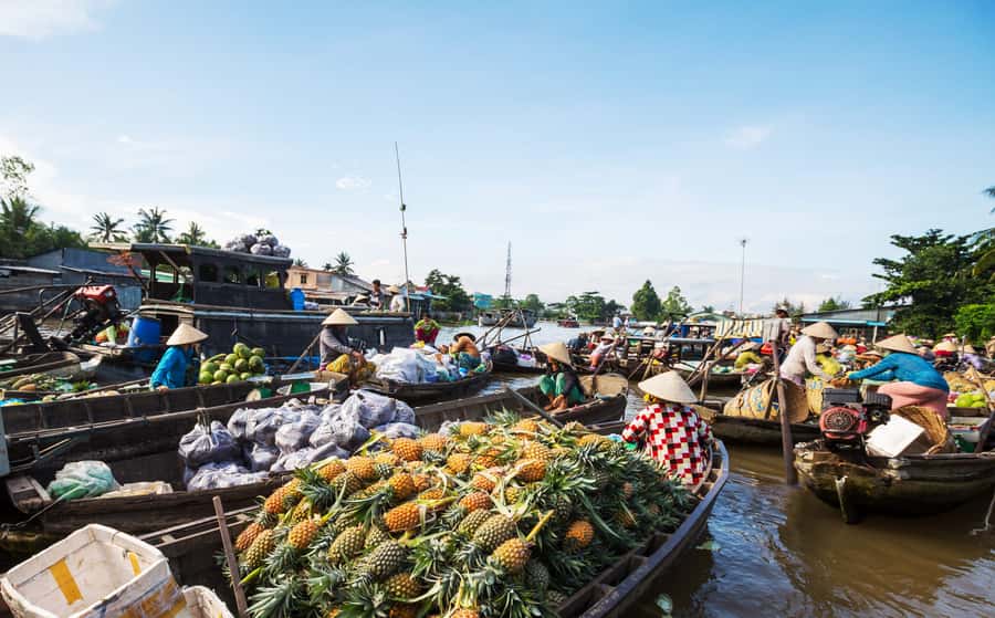 From HCM: Mekong Delta & Cai Rang Floating Market 2-Day Tour - My Tho by motorboat, then the quiet canals