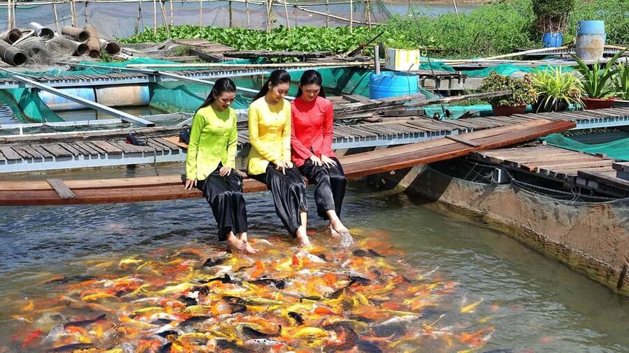 From Ho Chi Minh: Mekong and Cai Rang Floating Market 1 Day - Cycling past fruit trees and bonsai gardens