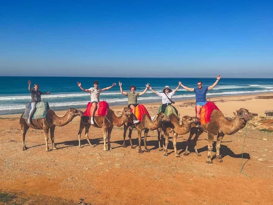 From Malaga: Tangier Day Trip with Ferry, Camel & Souks - From Málaga to Tarifa, an early start with little guesswork