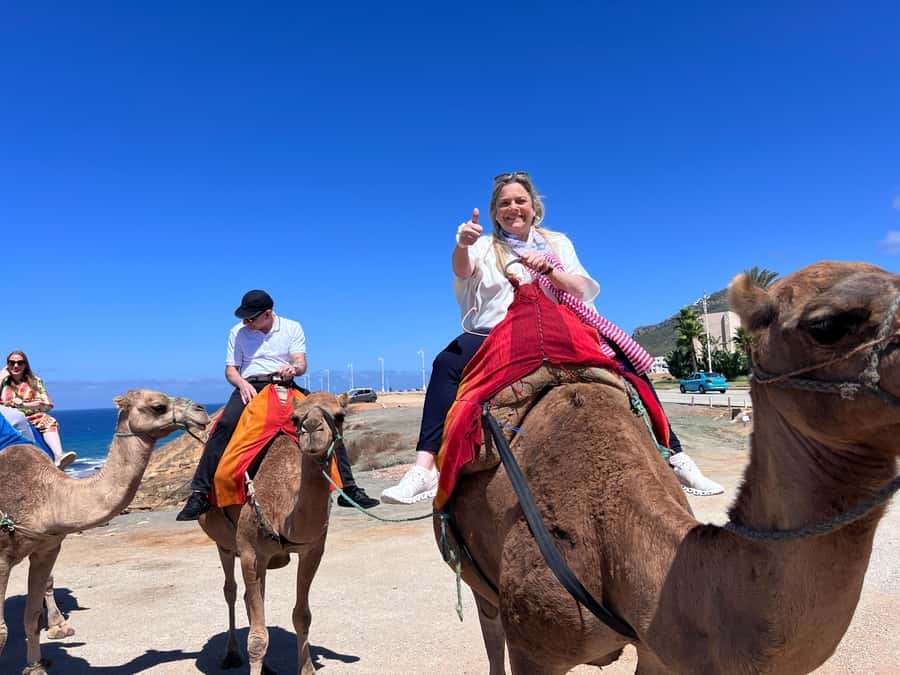 From Malaga: Tangier Day Trip with Ferry, Camel & Souks - A camel ride beside the Atlantic