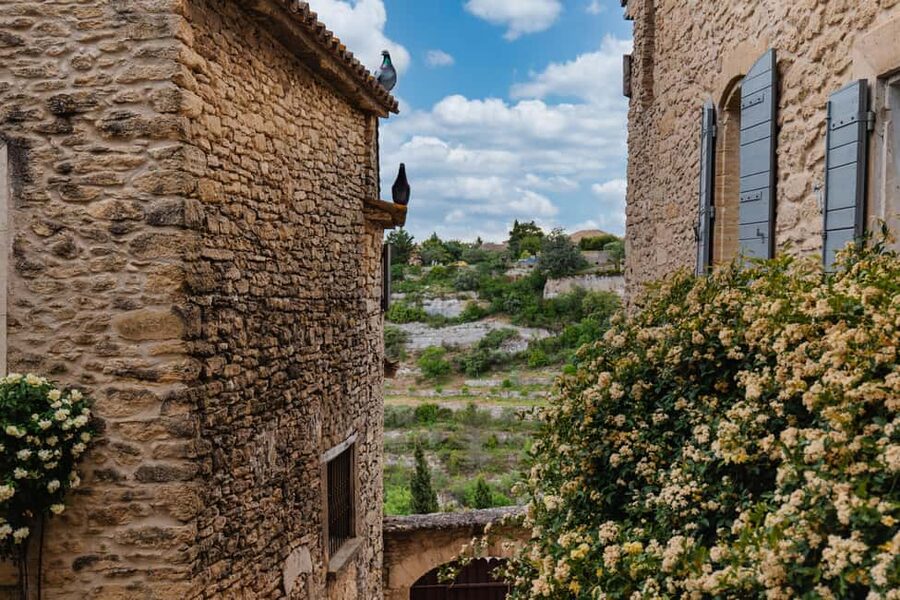 From Marseille: Luberon Market & Villages Full-Day Tour - Sénanque Abbey and the short lavender window