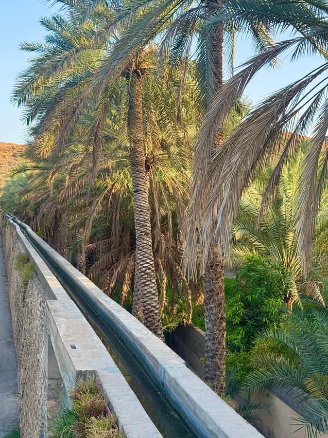 From Muscat: Nizwa Fort, Souq, falaj & Museum Full Day Tour - Why Nizwa makes a worthwhile day from Muscat