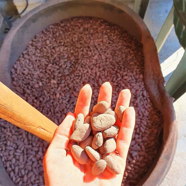 From Puerto Plata Priv: Cocoa, Coffee, Cigars & Local Market - Cocoa at Chocal, where the day begins