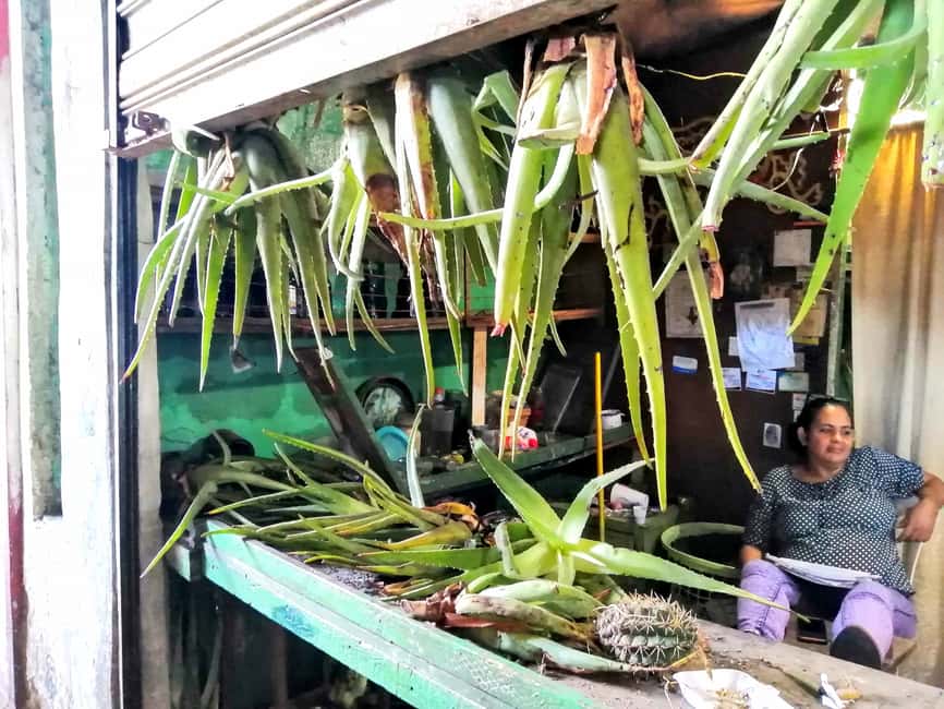 From Puerto Plata Priv: Cocoa, Coffee, Cigars & Local Market - Lunch with regional food