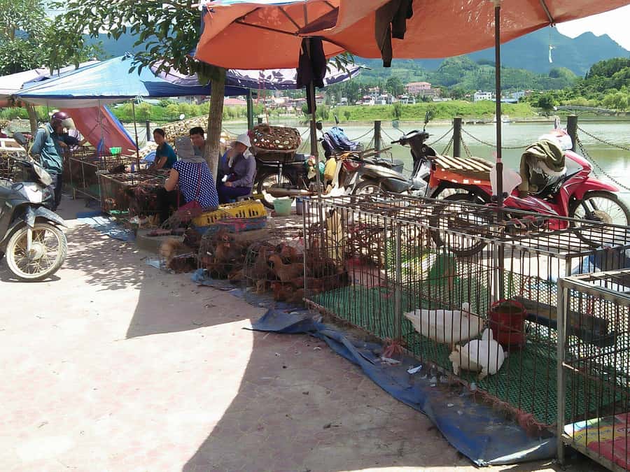From Sa Pa: Sunday Bac Ha Market Group Tour - FAQ