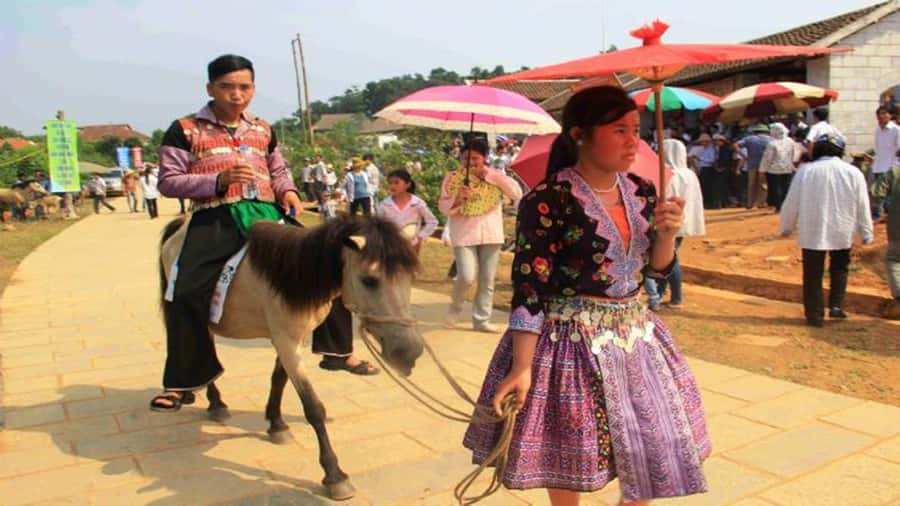 From Sa Pa: Sunday Bac Ha Market Group Tour - Should you book the Bac Ha Sunday Market tour?