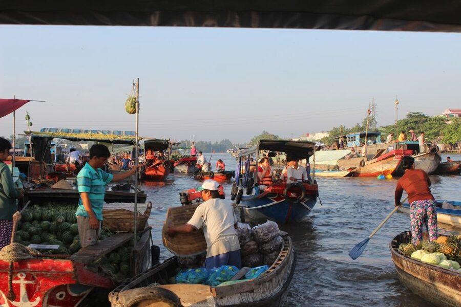 From Saigon: Private Tour to Cai Rang Floating Market 1 Day - From noodles to a Vietnamese lunch