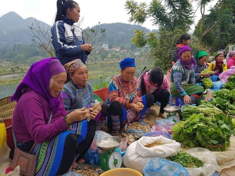 From Sapa: 1D Local Bac Ha Sunday Market Tour - Best seller - A simple local lunch in Bac Ha