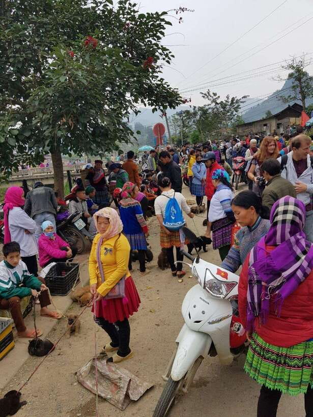 From Sapa: 1D Local Bac Ha Sunday Market Tour - Best seller - The border stop and return to Sapa