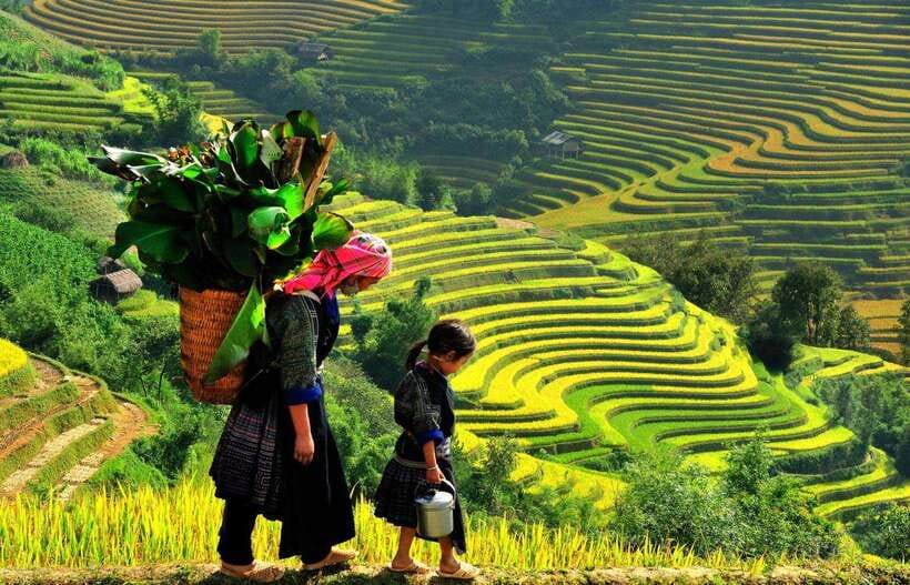 From Sapa: Bac Ha Sunday Market and Ethnic Villages Tour - Hoang A Tuong Palace adds an architectural stop