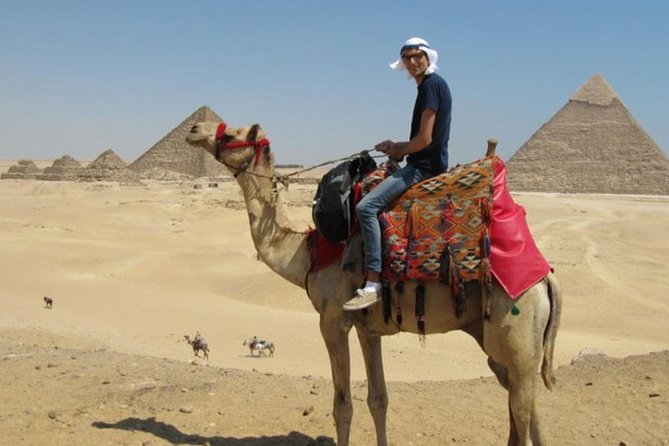 Full Day tour to great pyramids Sphinx Citadel and Bazaar - The Great Sphinx and Valley Temple