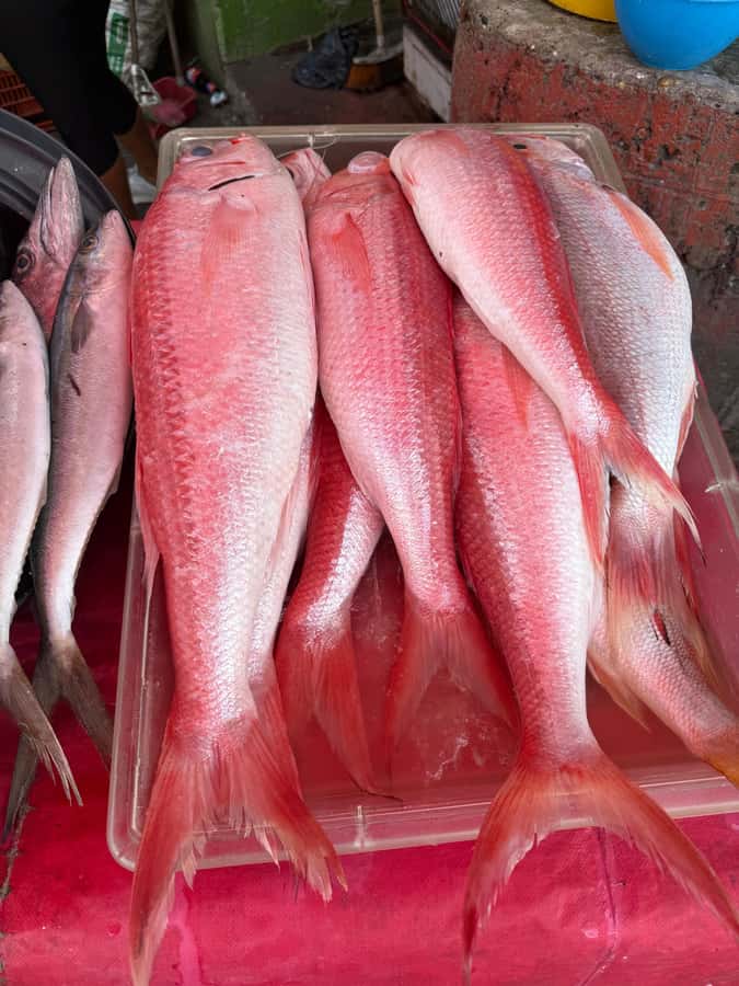 Get to know the real Cartagena: Bazurto Market gastronomic & cultural tour - The pickup and first 20 minutes