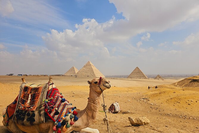 Giza Pyramids, Grand Egyptian Museum and Bazzar Market Tour - Three hours inside the Grand Egyptian Museum
