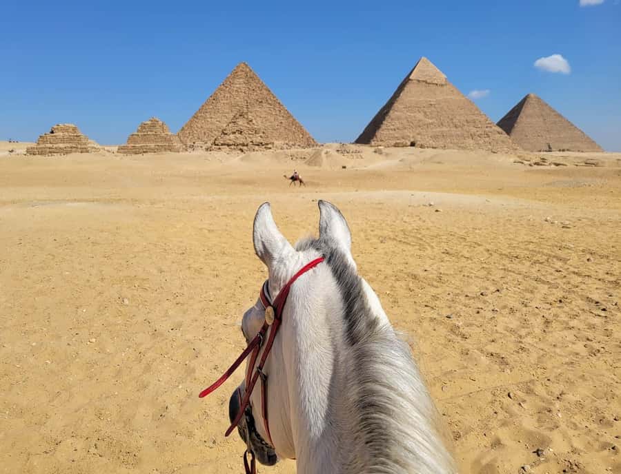 Giza Pyramids, Mummy Museum And Bazaar Private Day Tour - Seeing Mummies at the National Museum of Egyptian Civilization