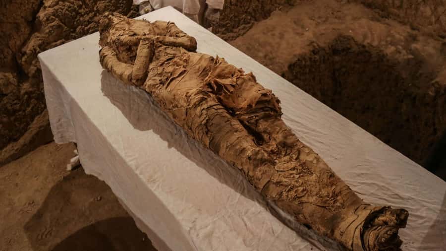 Giza Pyramids, Mummy Museum And Bazaar Private Day Tour - From Cairo or Giza to the Pyramid Plateau