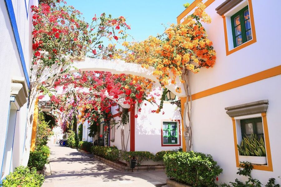 Gran Canaria: Puerto de Mogán Local Market Day Trip - Key points before you book