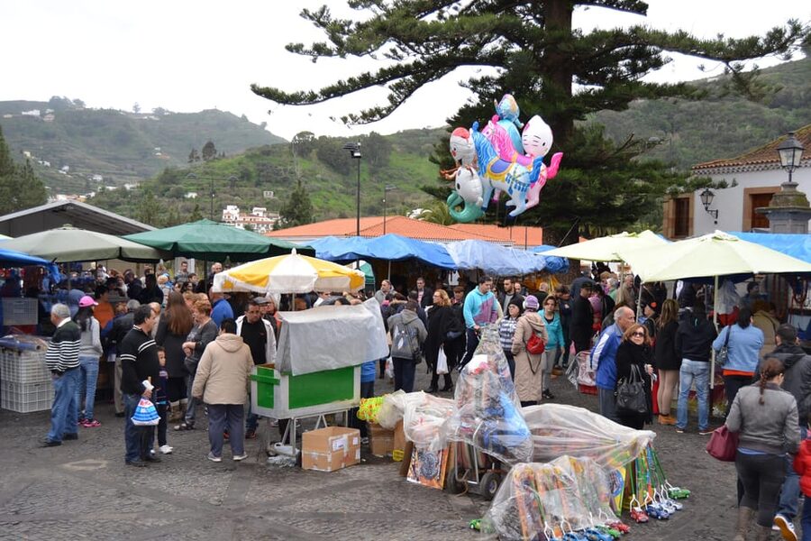 Gran Canaria: Traditional Markets, San Mateo & Teror - What the guide adds to the day