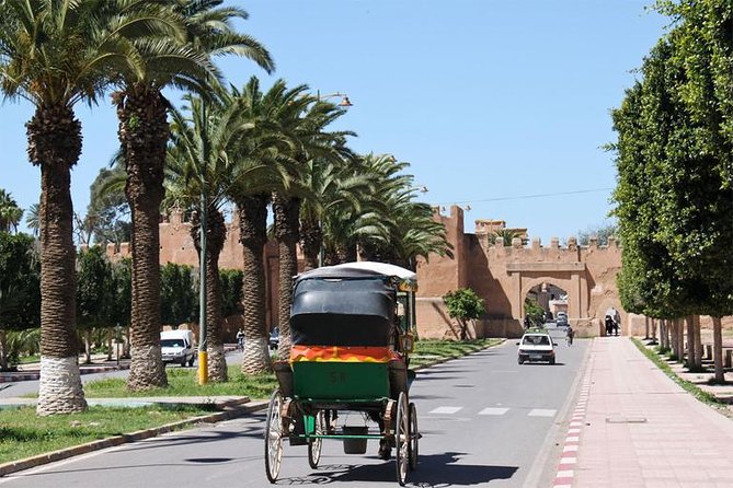 Guided Shared Day Trip Agadir to Marrakech medina & souks - The long road from Agadir to Marrakech
