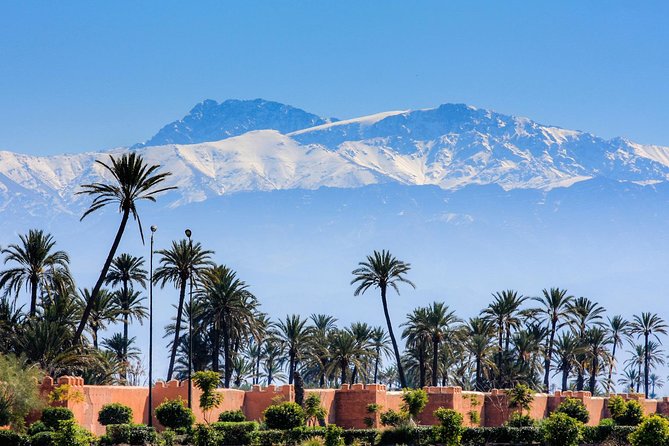 Guided Shared Day Trip Agadir to Marrakech medina & souks - Guide quality can shape the whole day